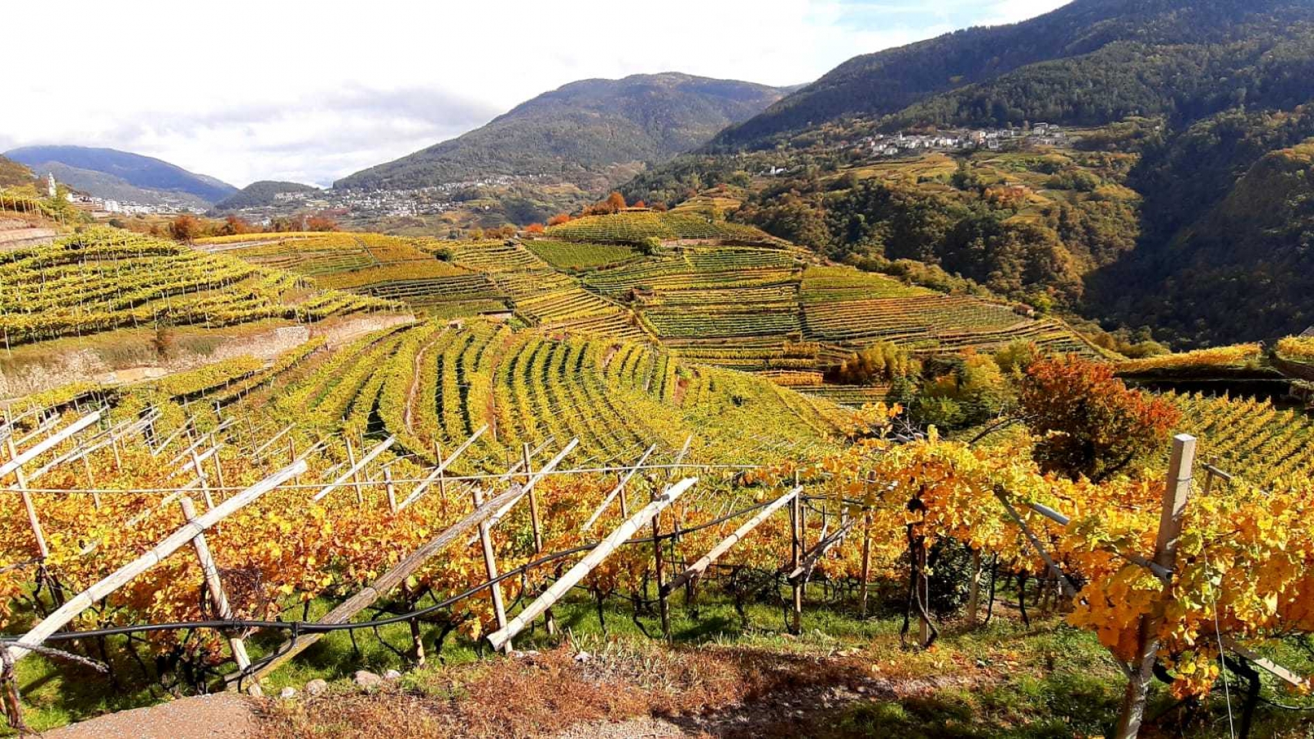 Val di Cembra