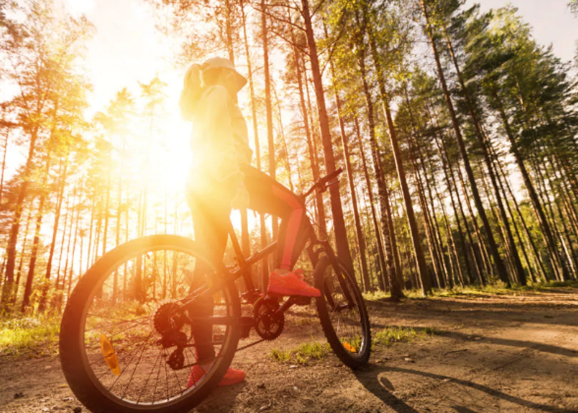 bicicletta