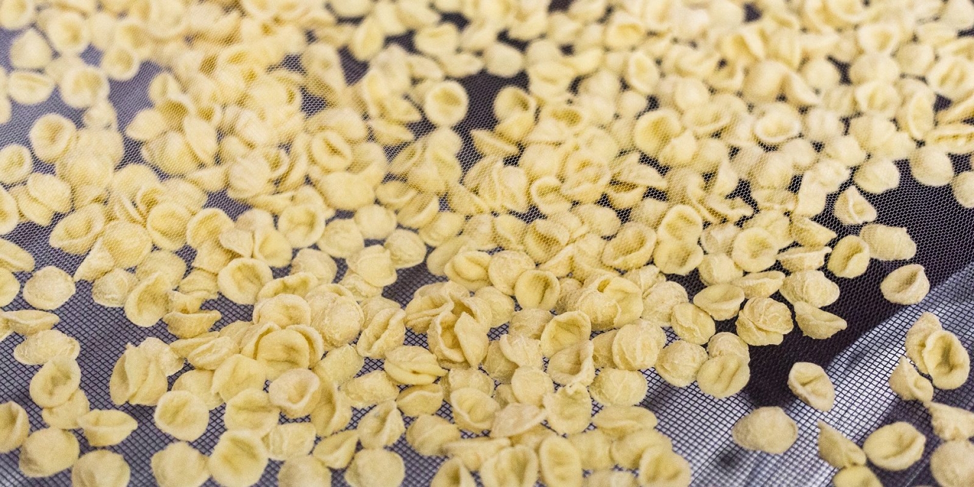 Orecchiette, la Puglia ha le linee guida per quelle fatte in casa | La Cucina Italiana