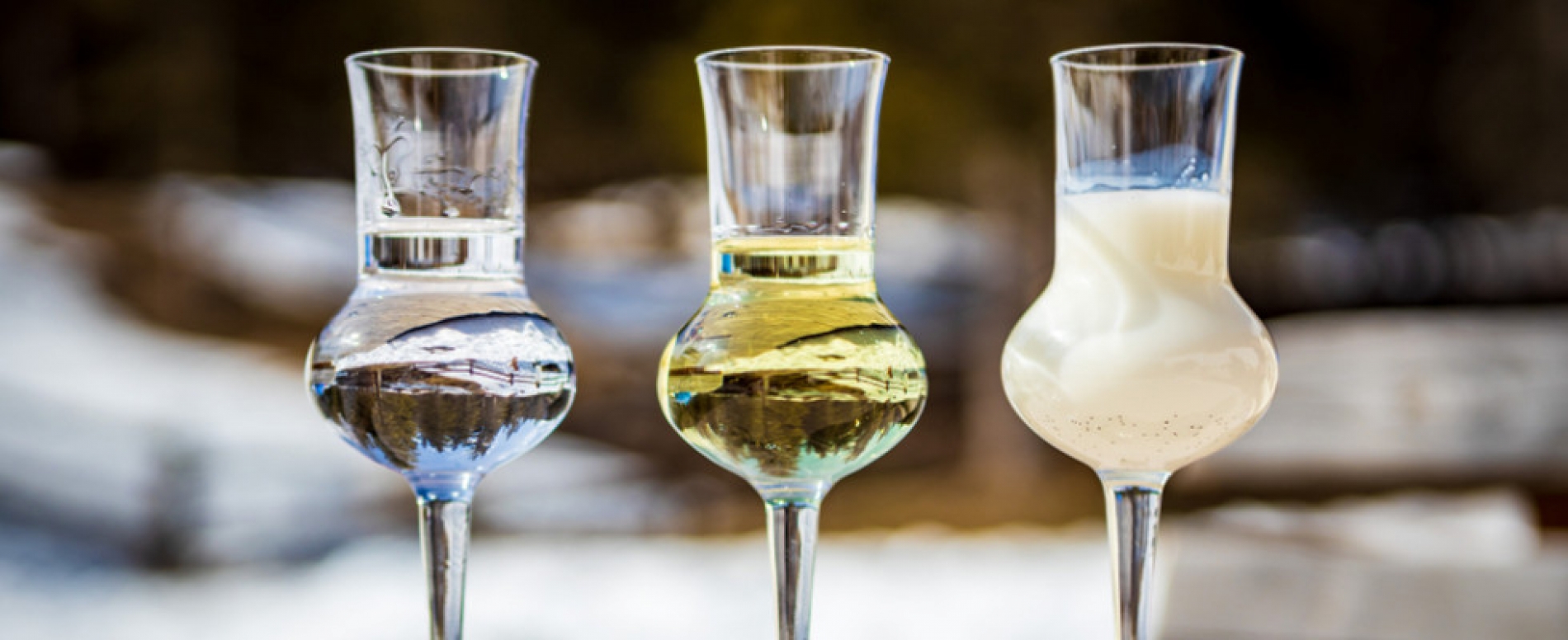 Per l’autunno: 10 grappe da non perdere in Trentino