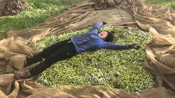 Tutto quello che ho imparato raccogliendo olive in Puglia per dieci anni